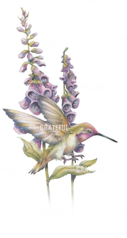Hummingbird and Flowers