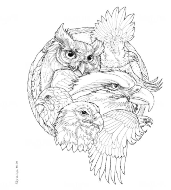Birds Sketch