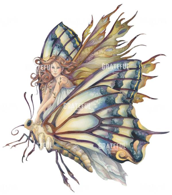 Butterfly Fairy