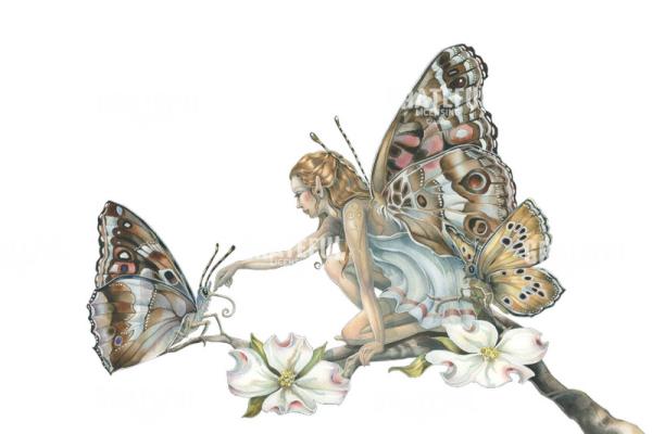 The Gathering Fairy