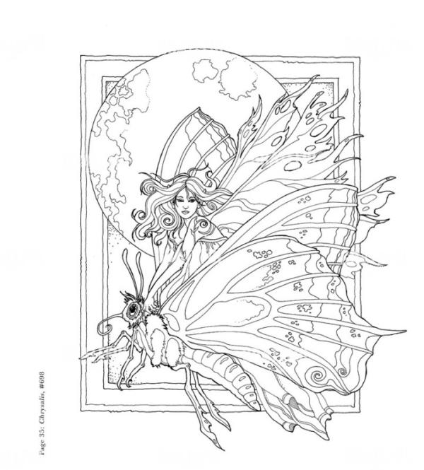 Dragonfly Rider Sketch