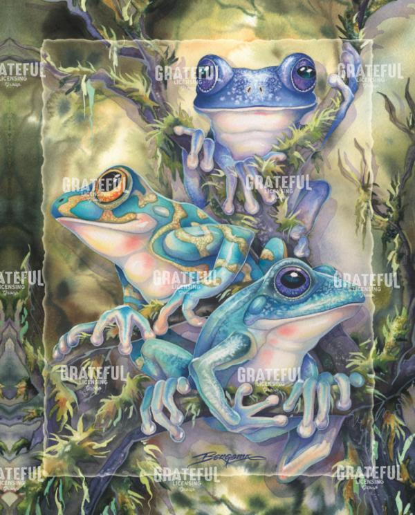 Frog Wild 2 Boarder