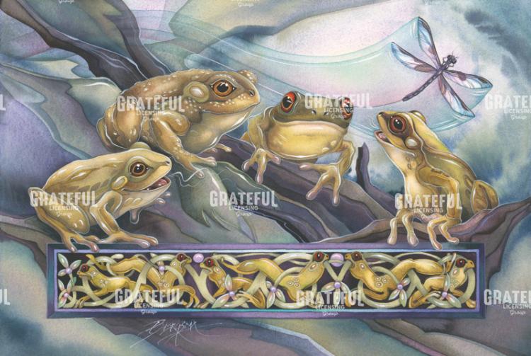 040_KnottyFrogs.psd