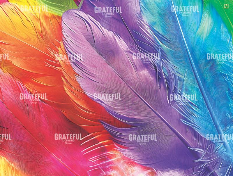 Feather Rainbow 2