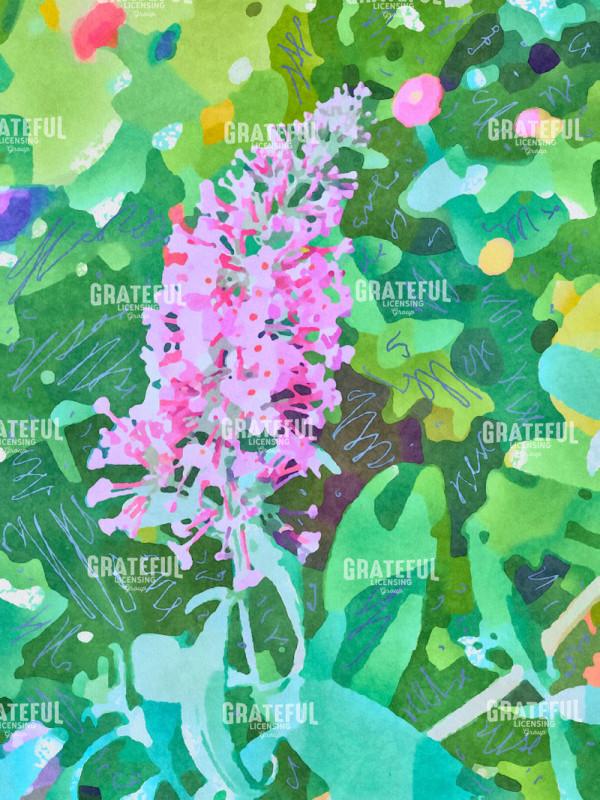 Light Pink Butterfly Bush