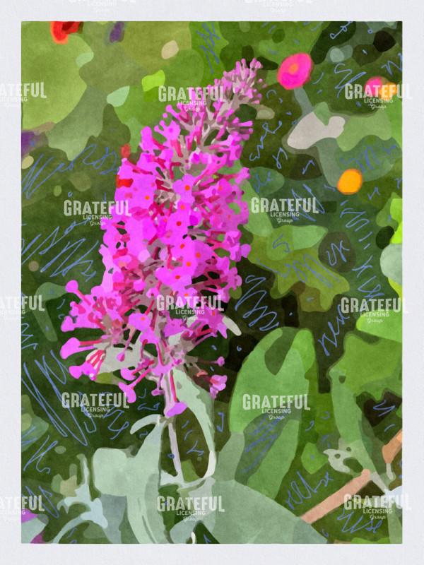 Butterfly Bush 2