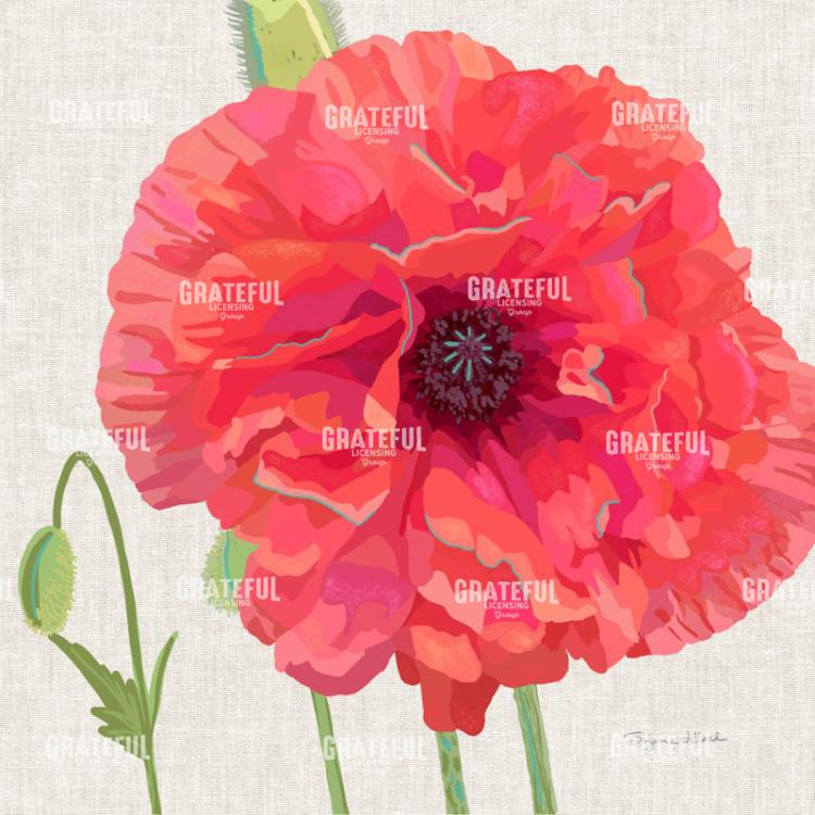 Big Red Peony