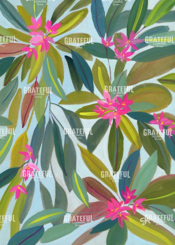 Sweet Bay Magnolia