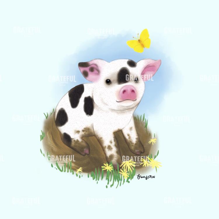 Baby Pig