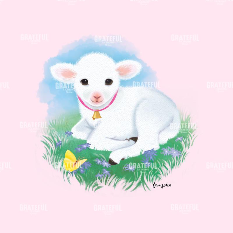 Baby Lamb