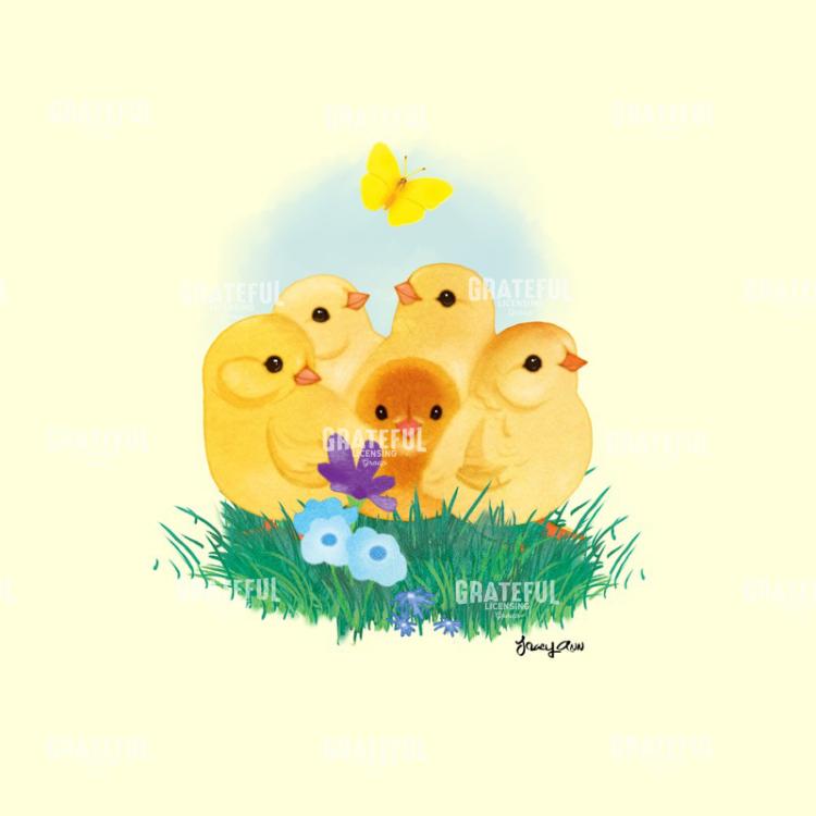 Baby Chicks