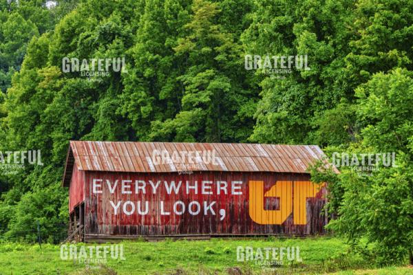 Everywhere You Look UT barn
