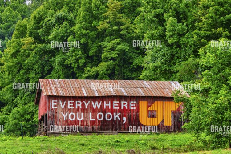 Everywhere You Look UT barn