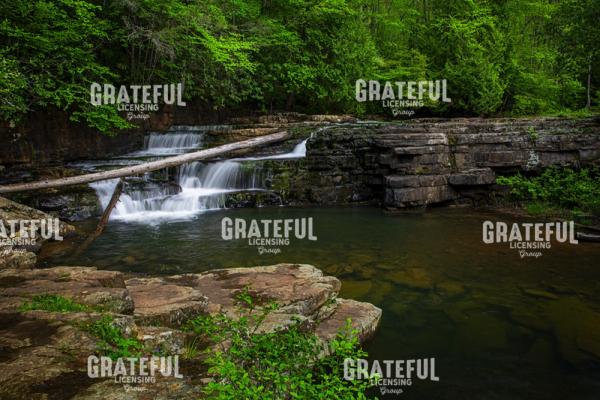 Falls of Dismal