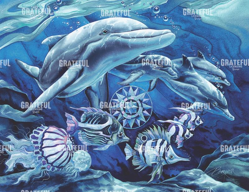 Guided By An Unseen Star