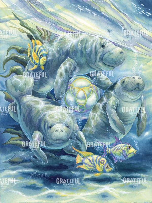 Manatee In The Caring Of The Wild