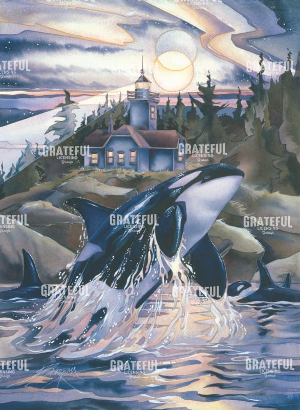 Journey to the Light