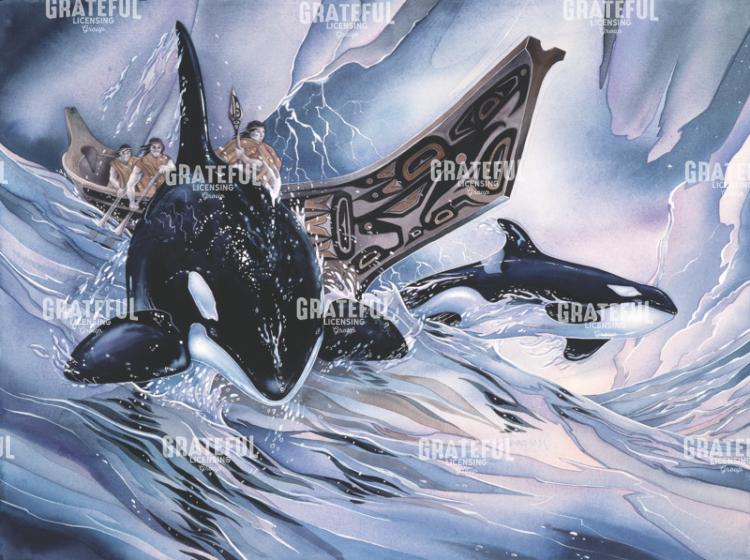 In The Company Of Orca