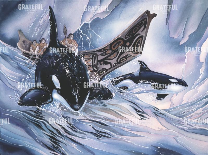 In The Company Of Orca