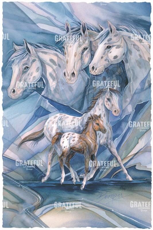 Appaloosa, Spirit Of The Clouds