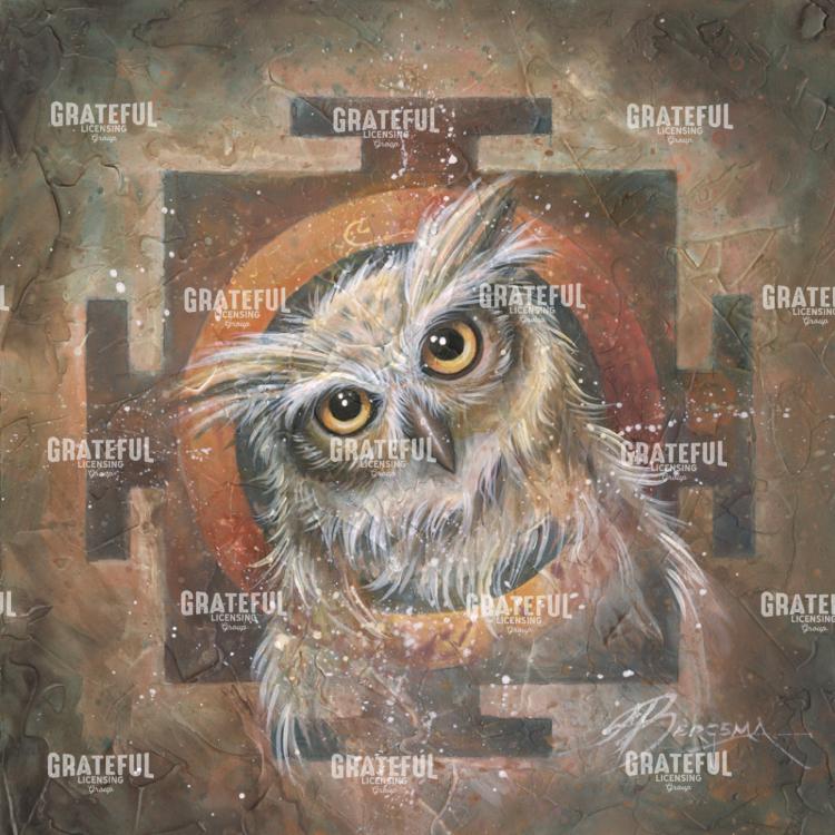 Owl Eyes