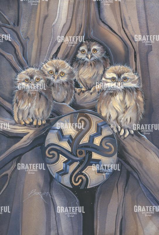 Little Owl Medicine