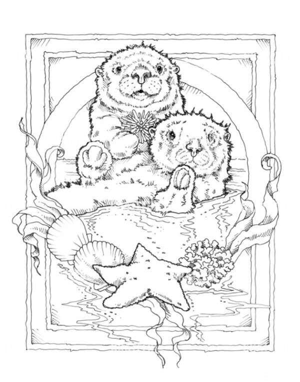 Star of the Sea Sketch 2