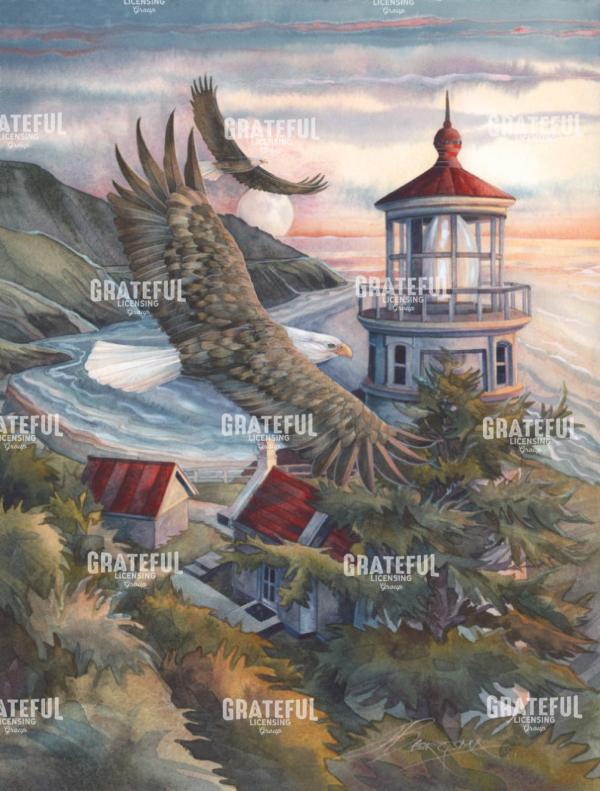 Guided By The Light Of Hope