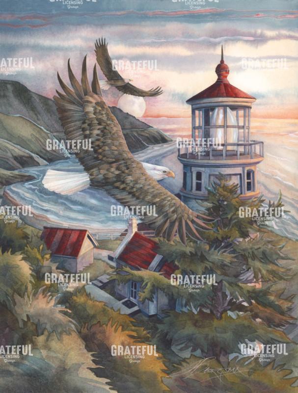 Guided By The Light Of Hope