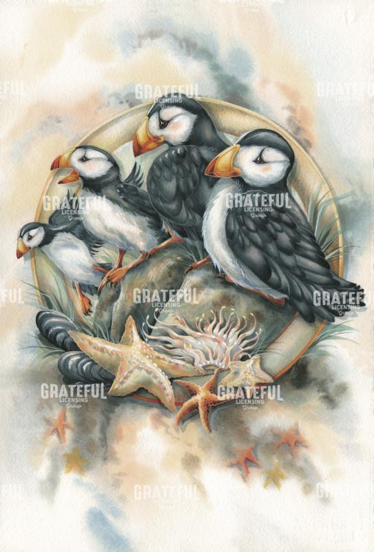 Puffin Family