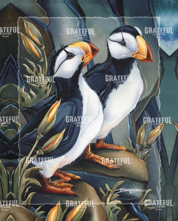 Puffins