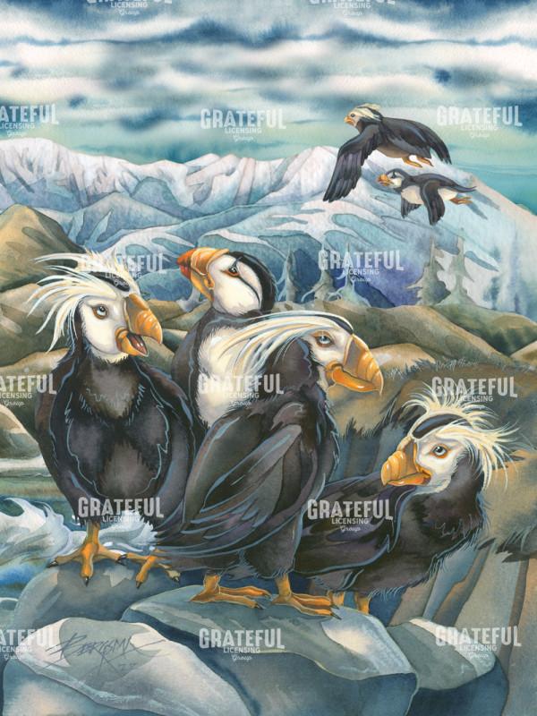 Puffins with Mountains