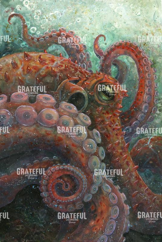 Depth of Wisdom, Octopus