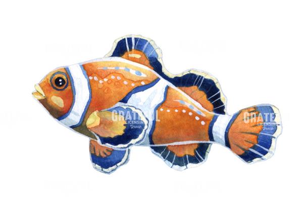 Nemo