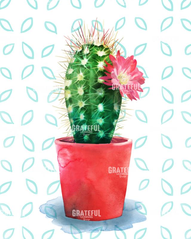 Cactus Floral A