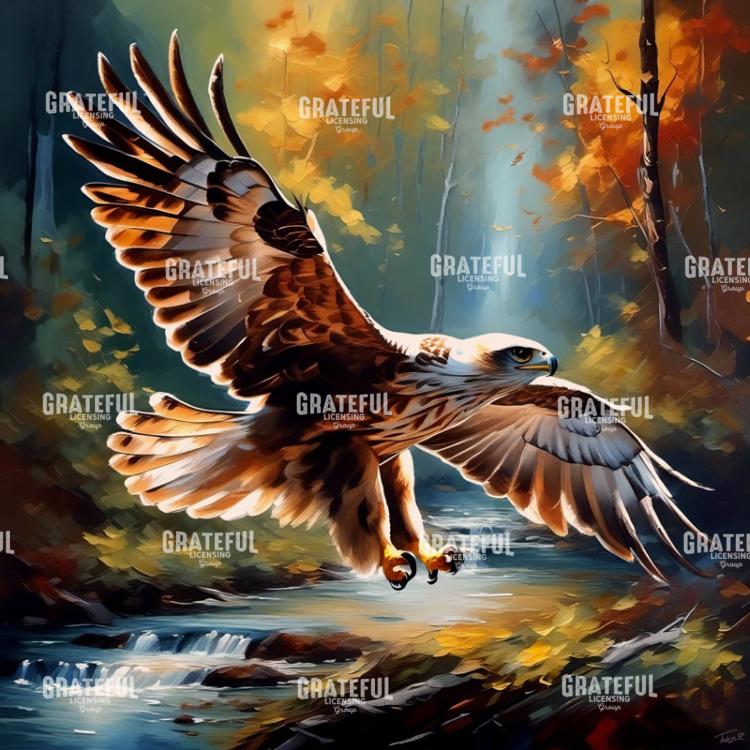Hawk In Flight