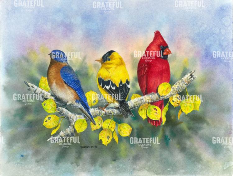 Primary Colors