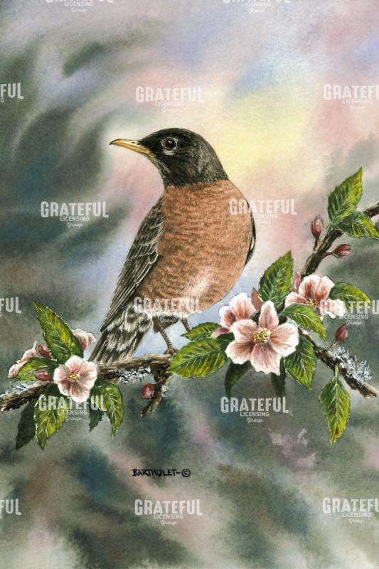 Robin