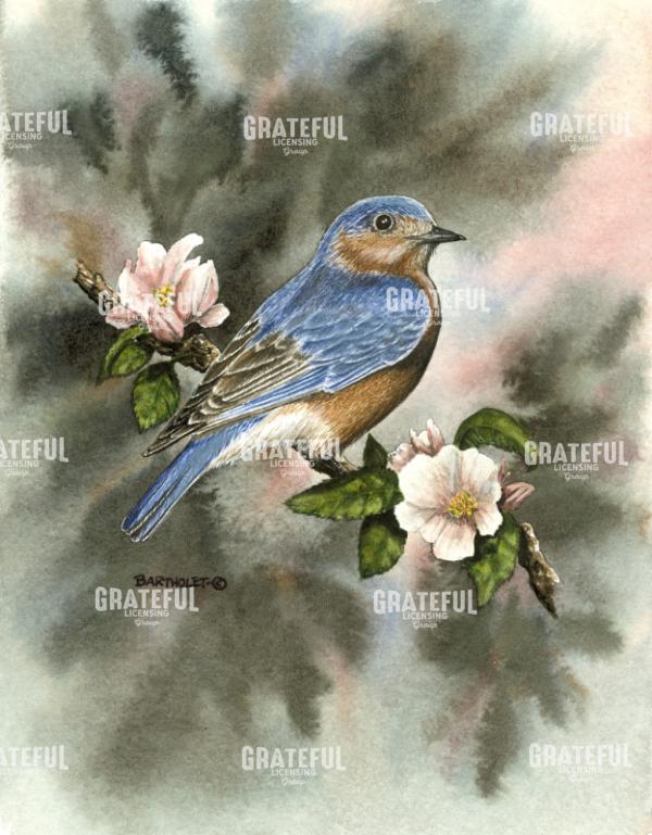 Bluebird
