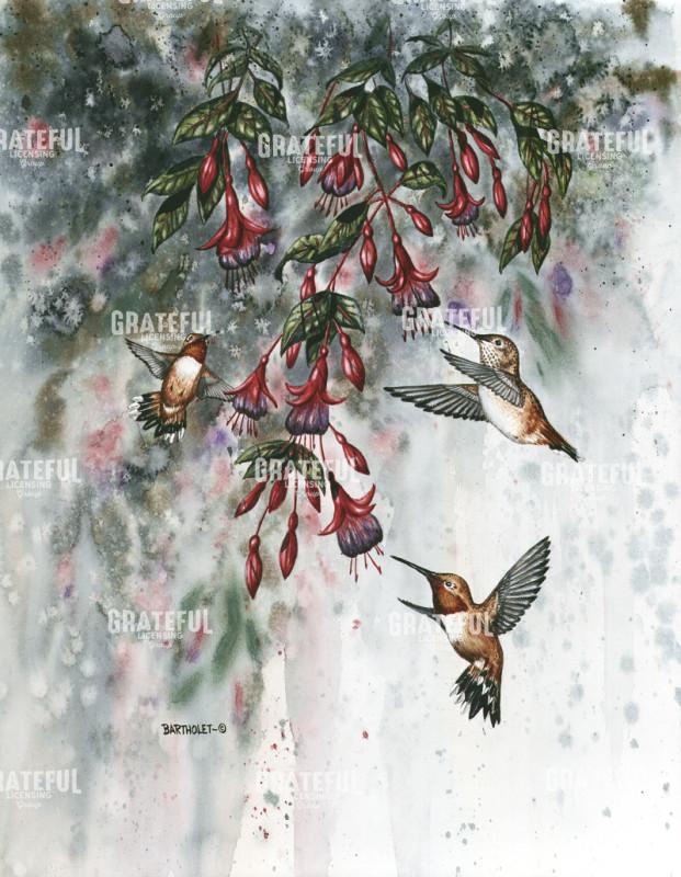Hummingbirds