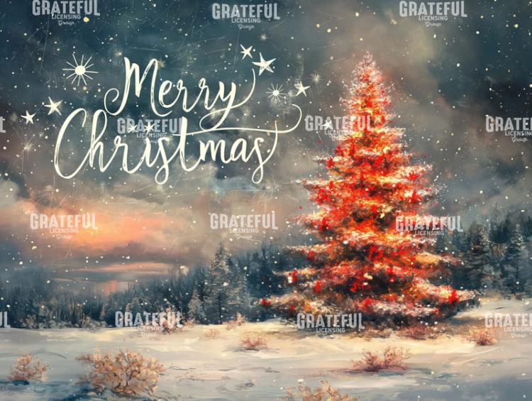 Christmas Tree Outdoors - Merry Christmas