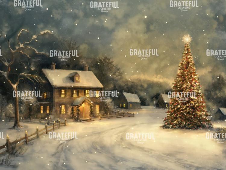 Christmas Tree Outdoors