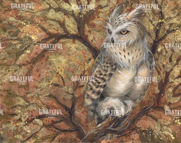 Natures Wisdom