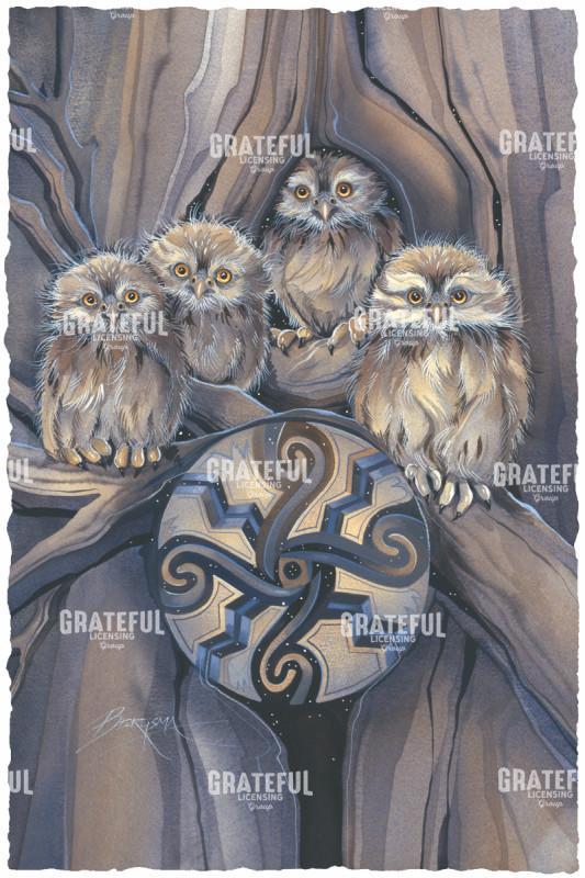 Little Owl Medicine