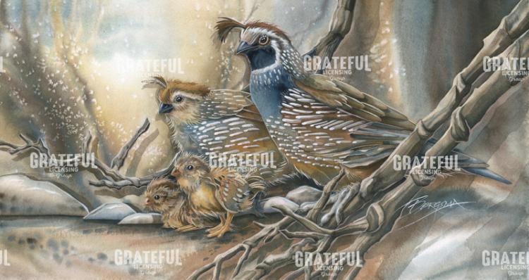 Quail