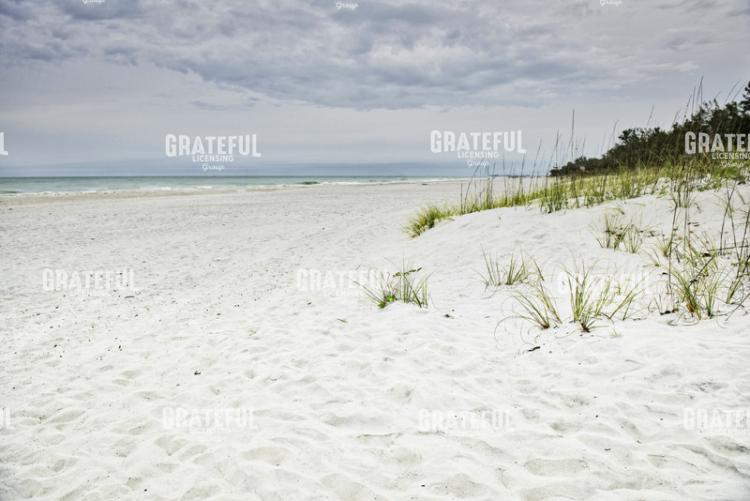Beach Solitude