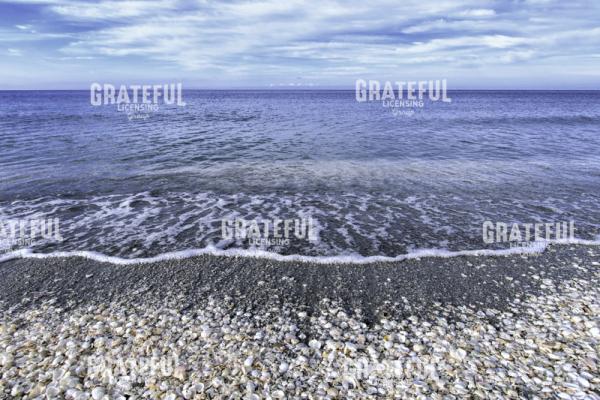 Shells, Surf, Sky