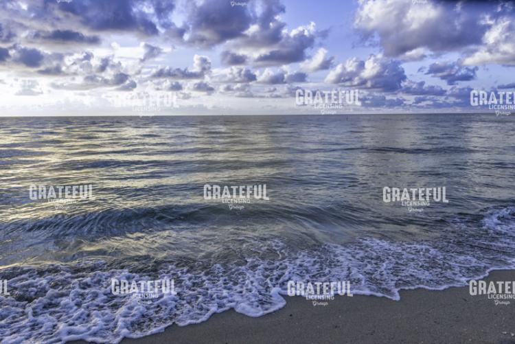 Coastal Edge
