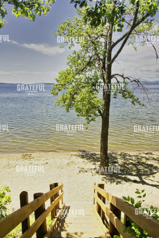 Lone Tree Beach