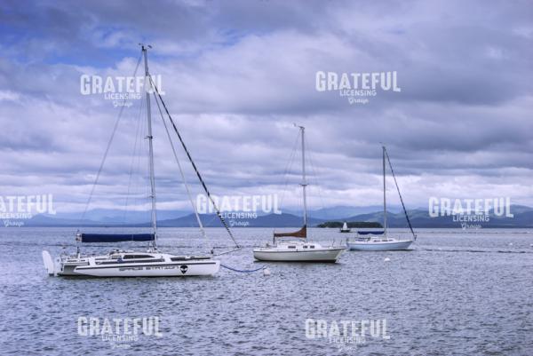 Sailboat Trio